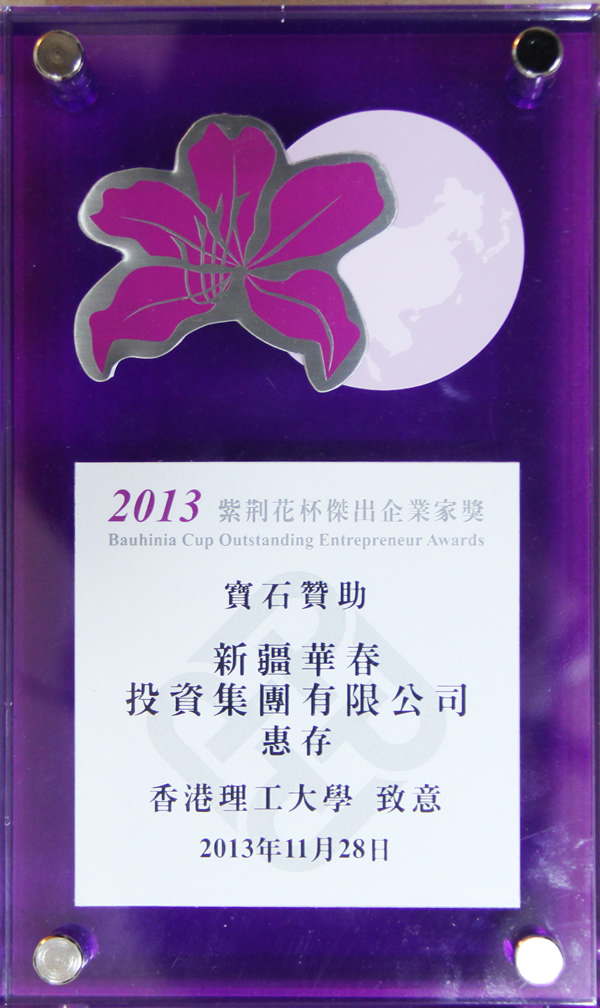 2013紫荊花杯杰出企業(yè)家