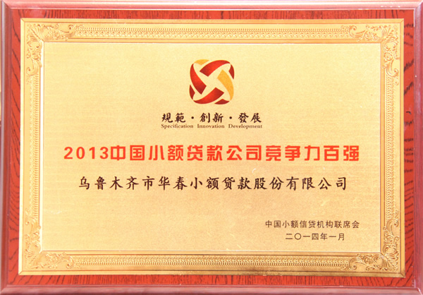 2013中國小額貸款公司競爭力百強(qiáng)